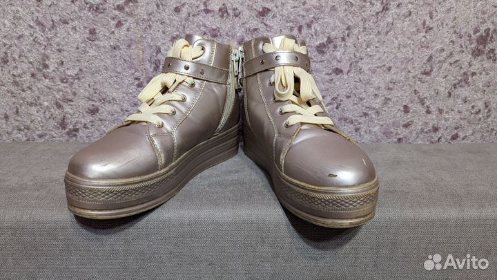 Ботинки Buddy dog