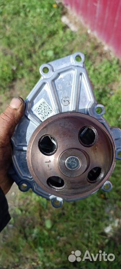 Водяной насос газон Некст