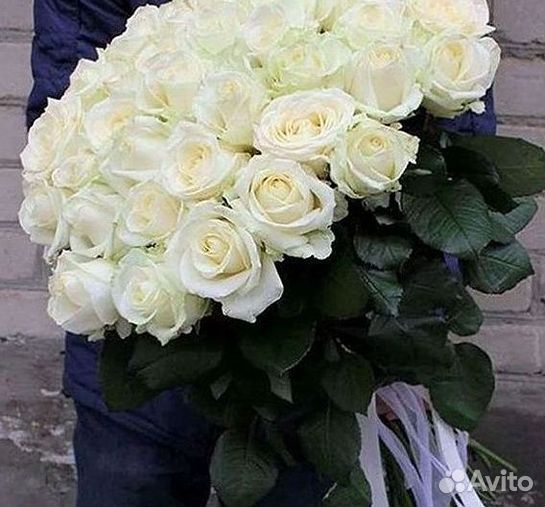 Высокие розы Гигантские розы Доставка цветов