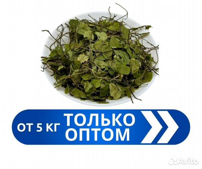 Боровая матка