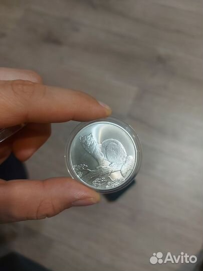 Серебряная монета 3 рубля соболь