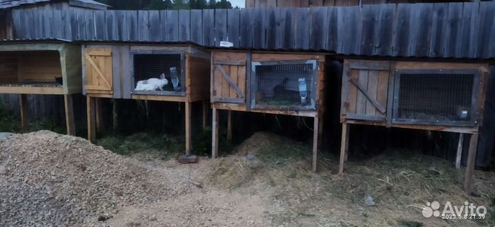 Клетка для кролика