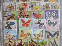 Почтовые марки бабочк�и