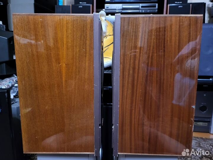 Колонки романтика 10ас-207