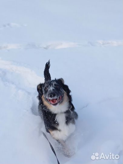 Супер умная девочка