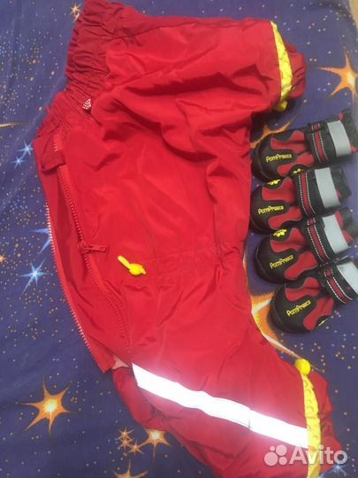 Продаю комбинезон, обувь для собаки