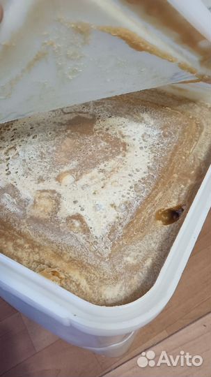 Ведро с мёдом (как на фото)