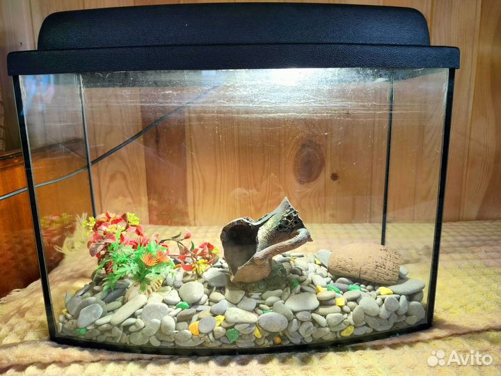 Аквариум