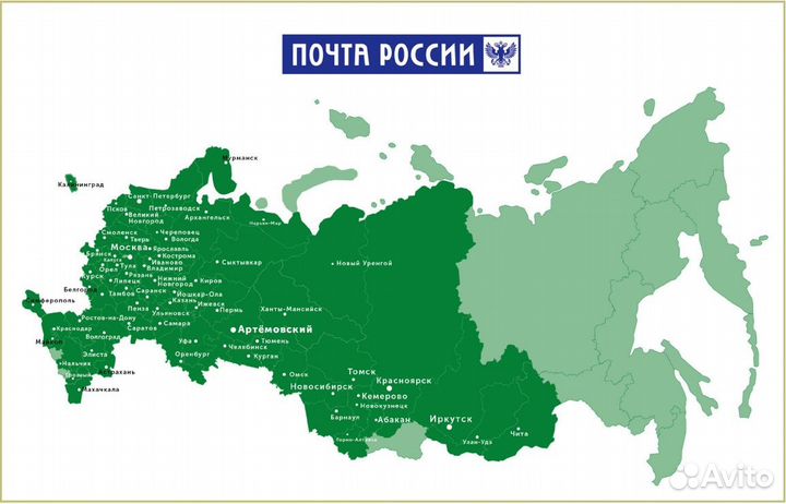 Сирень китайская «Саугеана» - саженцы зкс