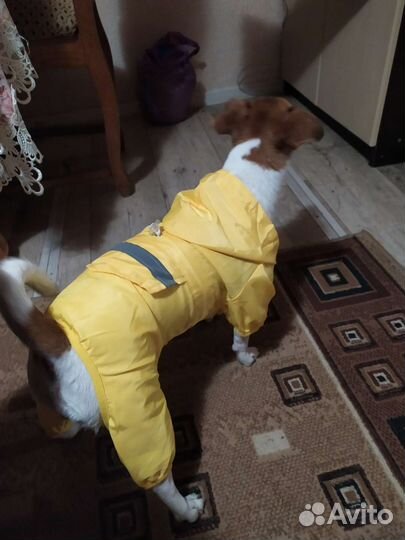 Дождевик для собак