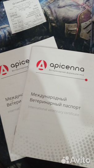 Отдам в добрые руки хаски