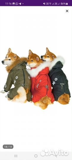 Зимний комбинезон для собаки