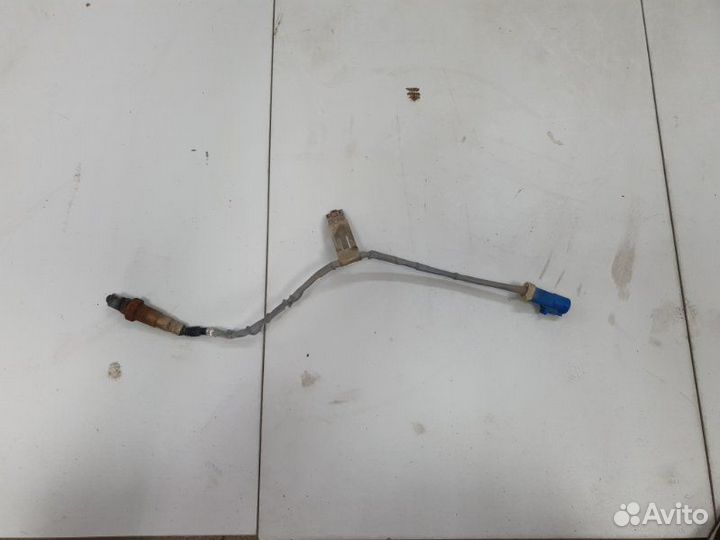 Датчик кислородный Ford Focus 3 хэтчбек 1.6 iqdb