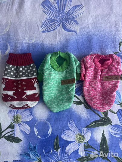 Одежда для собак и кошек