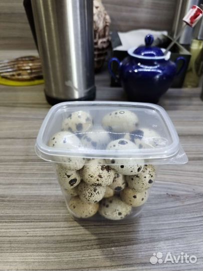Яйца перепелиные домашние