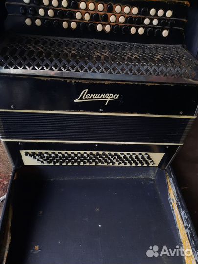 Баян ленинград