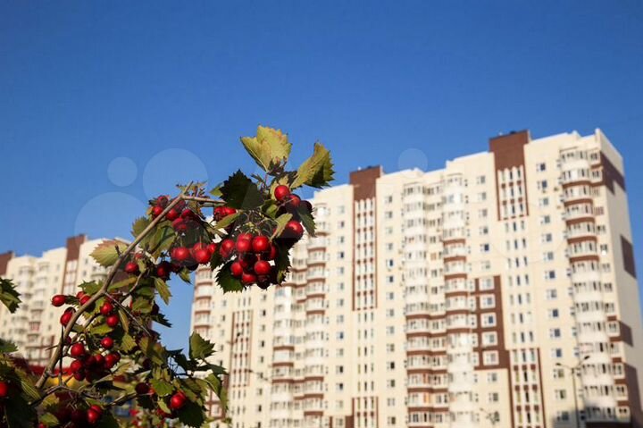 Квартира-студия, 25,4 м², 12/14 эт.