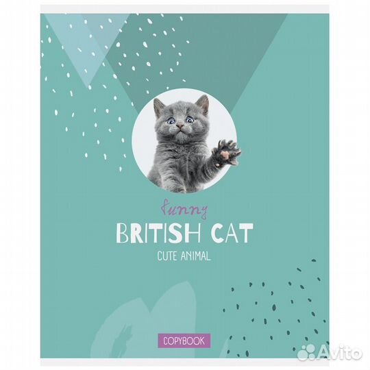 Тетрадь в клетку 48 листов(за 5 шт)