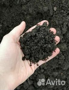 Почвогрунт