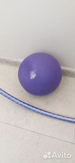 Мяч для художественной гимнастики pastorelli 17