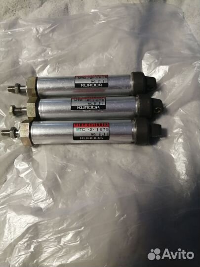 Пневмоцелидры. Kuroda(Япония)