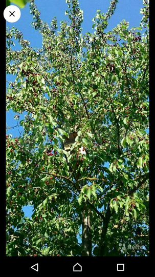 Дом 83,9 м² на участке 18 сот.