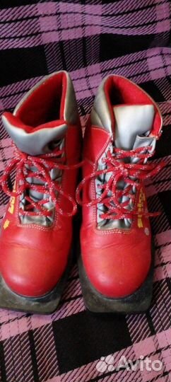 Ботинки для лыж