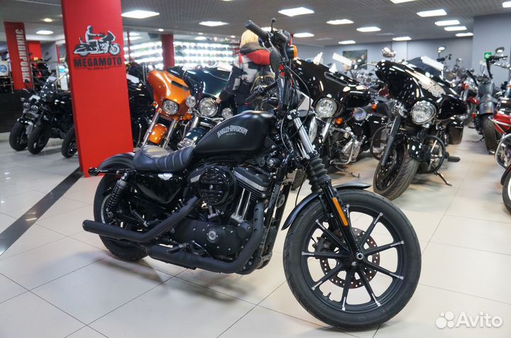 Harley-Davidson Sportster 883, 2021
