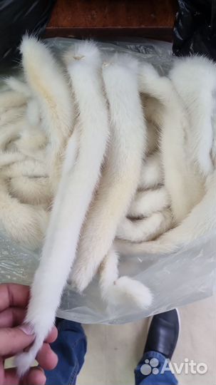 Хвосты норки