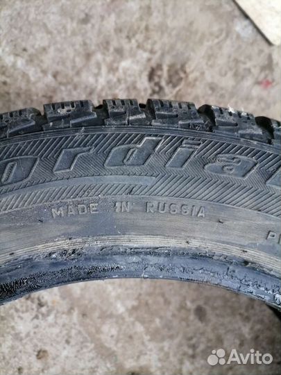 Cordiant Nordway 205/55 R16
