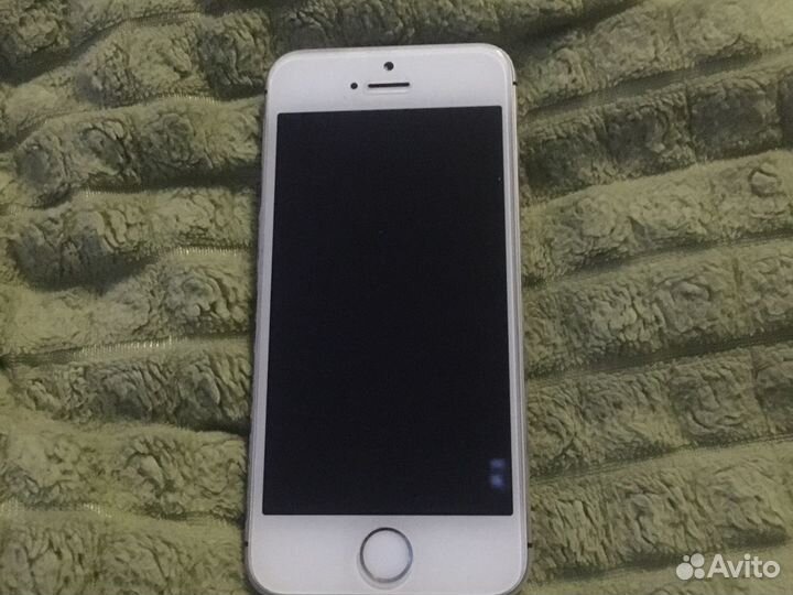 Дисплей iPhone 5s