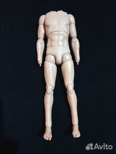 1/6 scale body DID