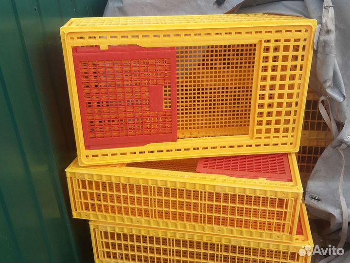 Тара для перевозки птицы