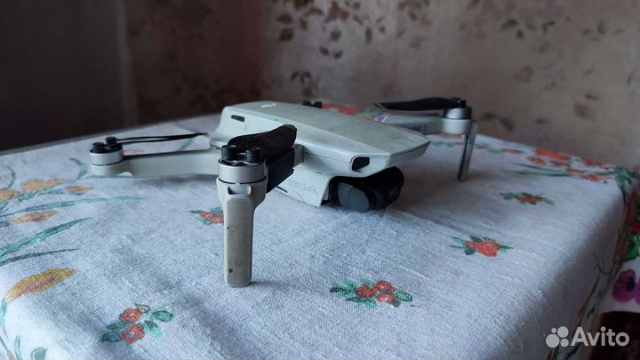 Dji mavic mini