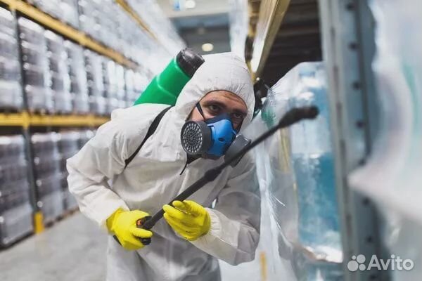 Уничтожение тараканов клопов блох Дезинфекция
