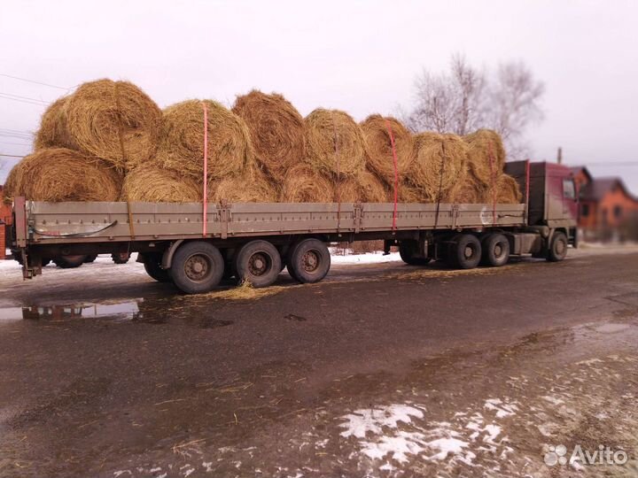 Сено в тюках