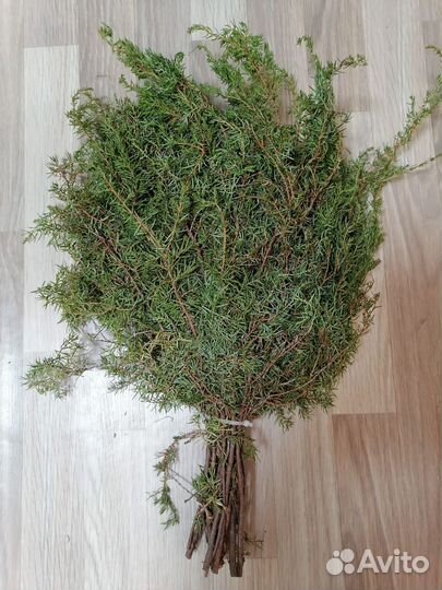 Веники для бани