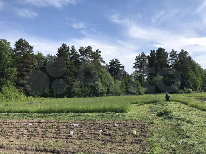 Дом 35 м² на участке 30 сот.