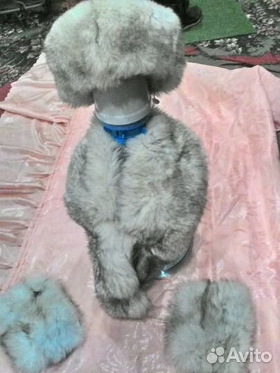 Шикарные воротники -чернобурка и песец