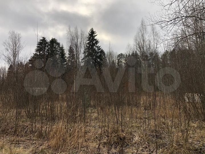 Участок 11,3 сот. (СНТ, ДНП)