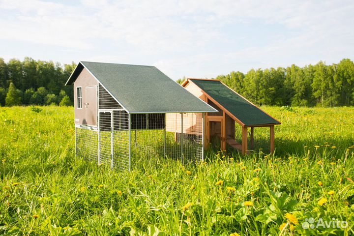Курятник летний с выгулом