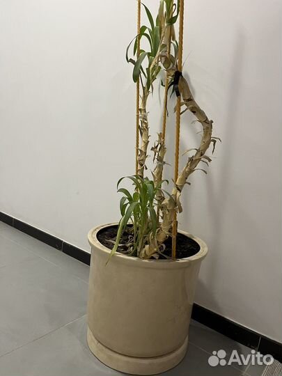 Гаршок для цветов большой,глиняный