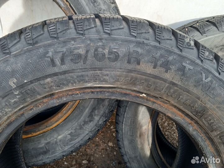 Gislaved Nord Frost 200 175/65 R14