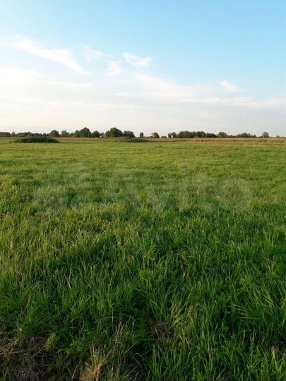 Участок 5,3 га (промназначения)