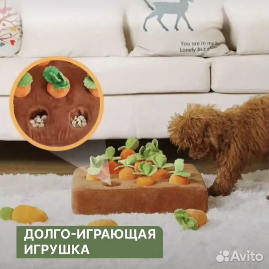 Игрушки для собак