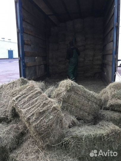 Сено и Стружка в тюках Оптом