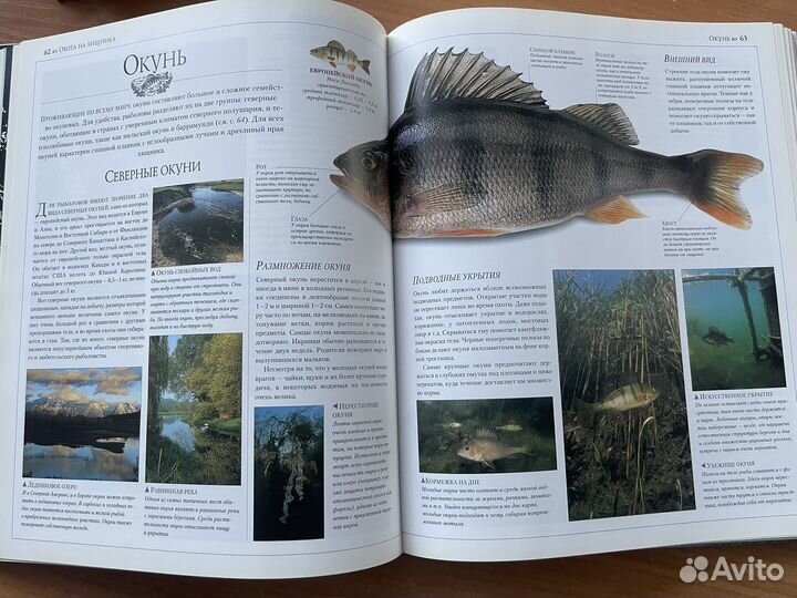 Современные способы рыбной ловли. Джон Бейли