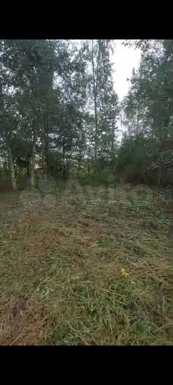 Участок 11,2 сот. (СНТ, ДНП)