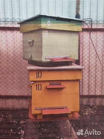 Улей додановский многокорпусной 12 рамок