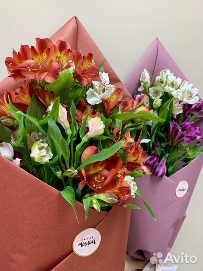 Альстромерия цветы доставка букетов Вологда